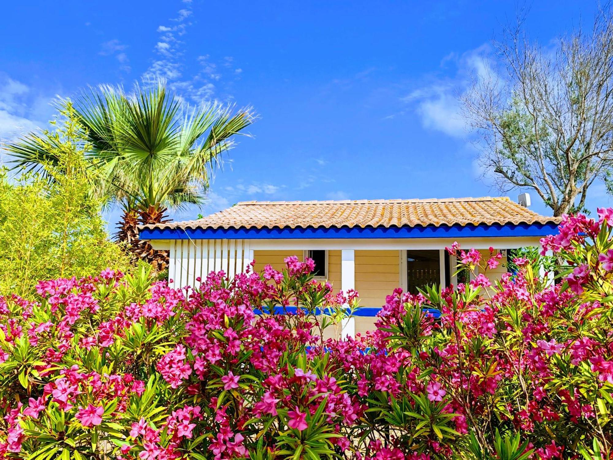 Camping Hameau Des Cannisses Gruissan Exterior photo